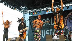 burning flames wcmf 03