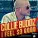 Reggae Goes Reality – Collie Buddz on Basketball Wives